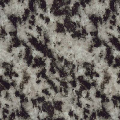 Black   Dalmatian Black or Hagar Black   Canada