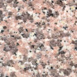 Rose   Cherry Flower   China