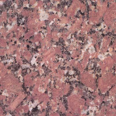 Rose   Desert Rose   Australia