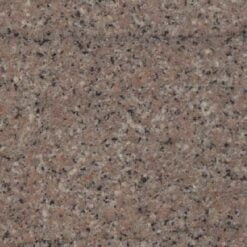 Rose   Eritrea Rose   Eritrea