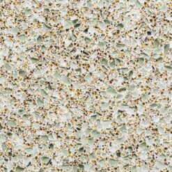 ForestFernMedium View